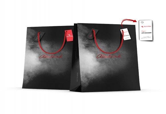 ALA-43 BÜYÜK BOY DİKEY KARTON ÇANTA