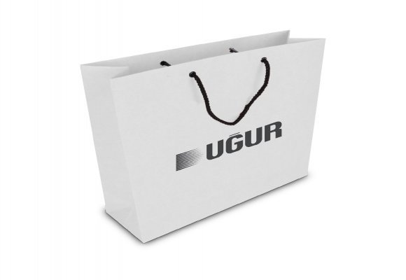 ALA-56 KÜÇÜK BOY KARTON ÇANTA(24x25.5x8,5 cm)